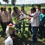 Rancho las americas plant for the planet